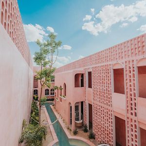 Casa Amate 61 Boutique Hostel